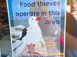 Brilliant sign