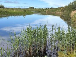 River view from site
