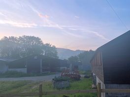 Morning view