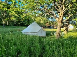 tente tipi