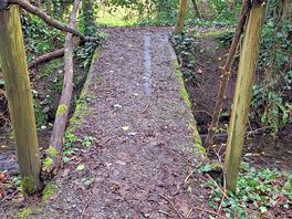 Wood area