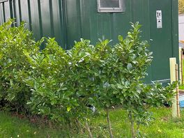 One of the toilet/shower units