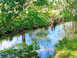 Stream by the pitch