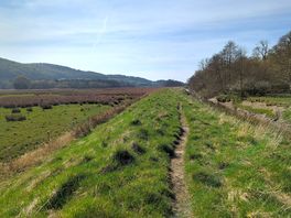 Wonderful walks