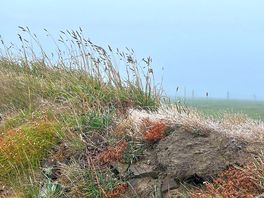 Cliff tops