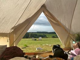 Morning view