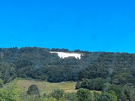 The white horse
