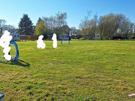 Enough space for the kids to play football
