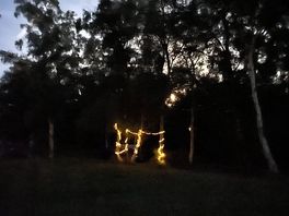 Fairy lights