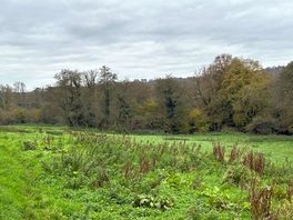 Walk in the country
