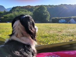 View from the tent