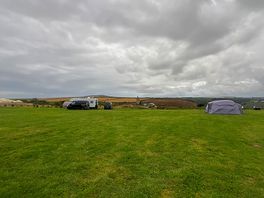 View of wild field