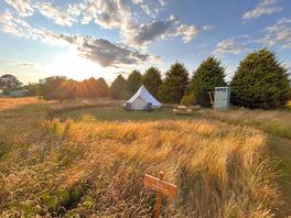 The Woof Woof nestled within the long grass.