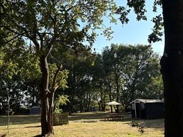 Woodland area
