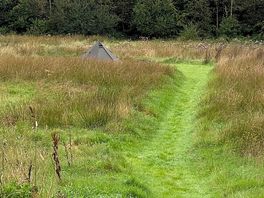 Meadow pitch