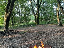 Fire pit