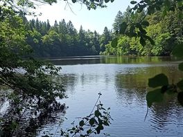 Etang à proximité