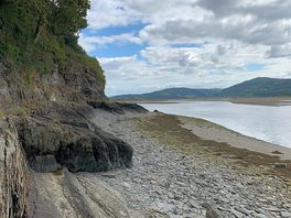 View across the estuary
