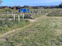 Plot 5
