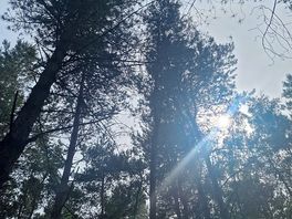 Looking up.
