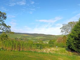 View from top of site, no pitches up here