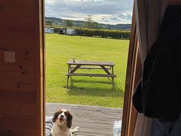 Bo loved her holiday:)