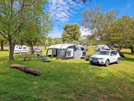 Grass pitches