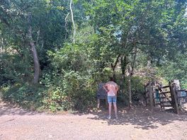 Great walks that can be done close to camping