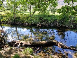 Stream