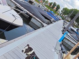 Op de camping