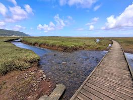 Sparkhayes marsh