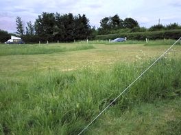 A picture of the site
