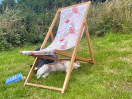 Snoozing dog under deckchair provided