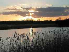 Sunset at avalon marshes on cycle trail. also saw spectacular murmuration