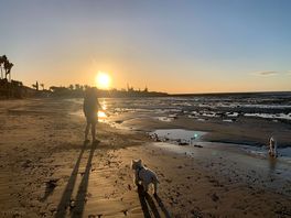 The beach next to the site