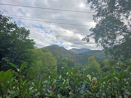 View from site
