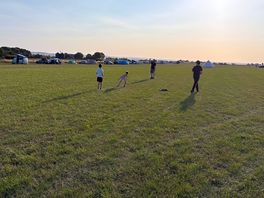 Cricket!