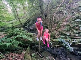 Lil river in the forest