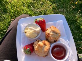 Yummy cream tea