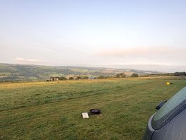 Morning views