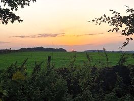 Evening sunset 🌄