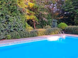 The pool.