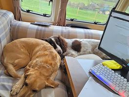 Office work with a view.