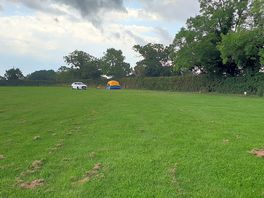 Well kept grass