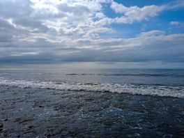 Peaceful ocean views