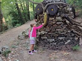 Le cataste artistiche di boarezzo