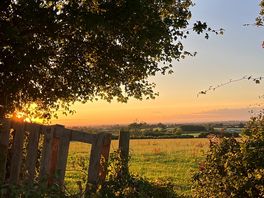 Absolutely beautiful in the evening!