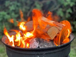 Orchard wild camping