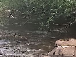 We stayed right beside the river even had a little paddle