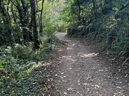 Lovely walk